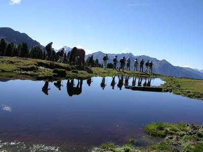 Aktivhotel Waldhof - Bild 1