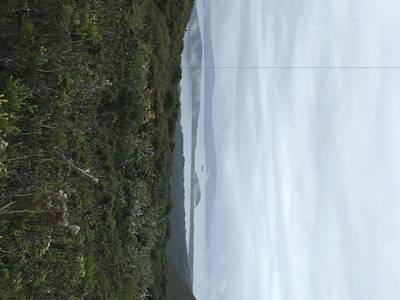 Albany Dog Rock Motel - Bild 1