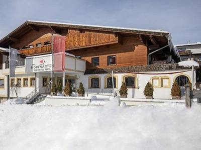 Das Hopfgarten Aparthotel - Bild 1