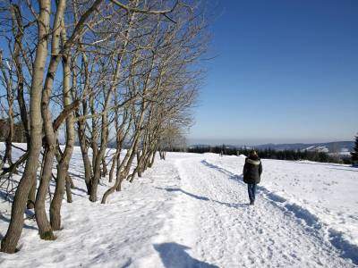 AVITAL Resort Winterberg - Bild 1