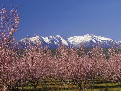 B&B HOTEL Perpignan Saleilles - Bild 1