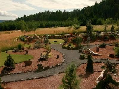 Carson Ridge Private Luxury Cabins - Bild 1