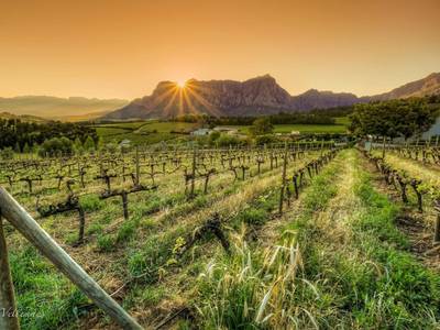 Clouds Estate - Bild 1