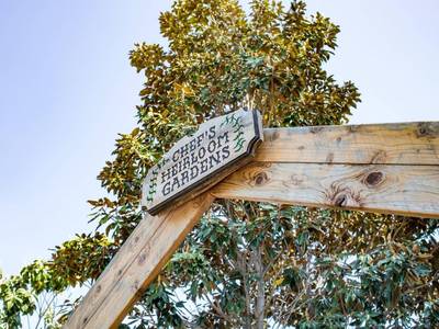 Napa Valley Marriott Hotel & Spa - Bild 1