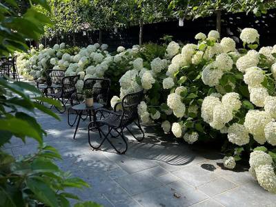 Poorter Boutique Hotel - Bild 1