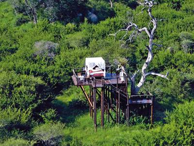 Lion Sands Game Reserve - Bild 1