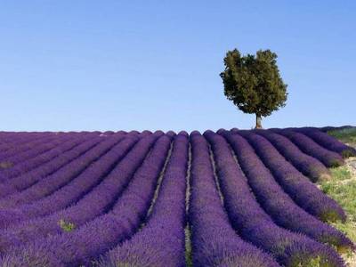InterContinental Marseille - Dieu - Bild 1