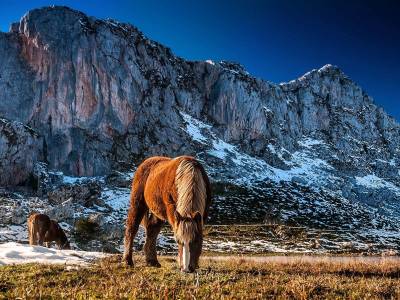 Granda Hotel Cangas De Onis - Bild 1