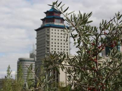 Beijing Palace Soluxe Hotel Astana - Bild 1