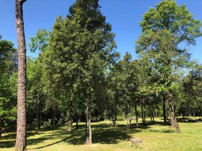 Toscana Verde - Bild 1