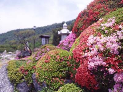 Unzen Miyazaki Ryokan - Bild 1