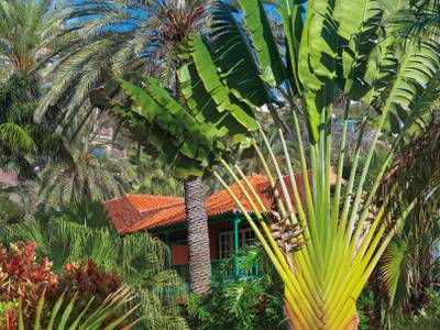 Hacienda San Jorge - Bild 1