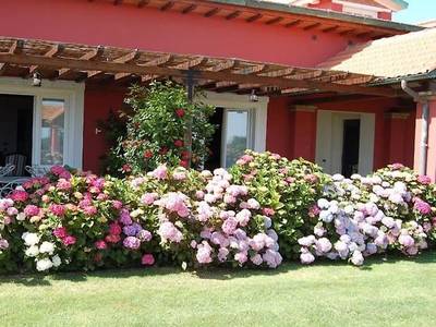 La Pecora Ladra - Bild 1