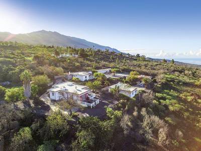 Bungalows Los Guanches - Bild 1