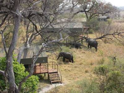Nkasa Lupala Tented Lodge - Bild 1