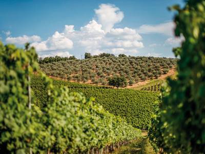 Borgo San Felice - Bild 1