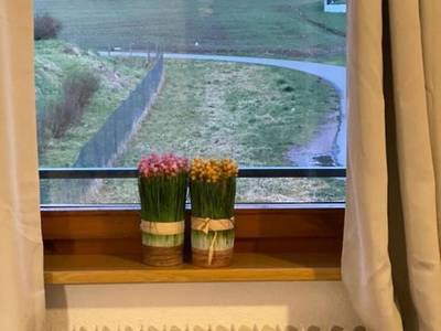 Gutacher Rössle - Bild 1