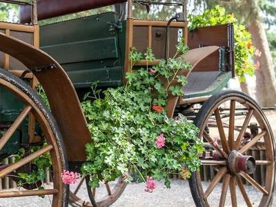 Frommanns Landhotel - Bild 1