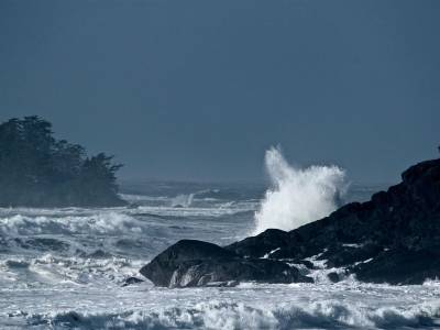 Long Beach Lodge - Bild 1