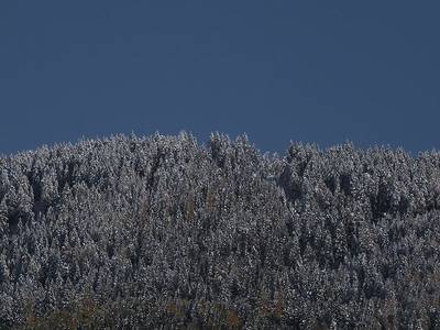 Schwarzschmied - Bild 1