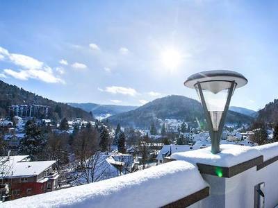 Schwarzwald Panorama - Bild 1