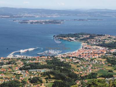 Hotel Norat Palmeira Playa - Bild 1