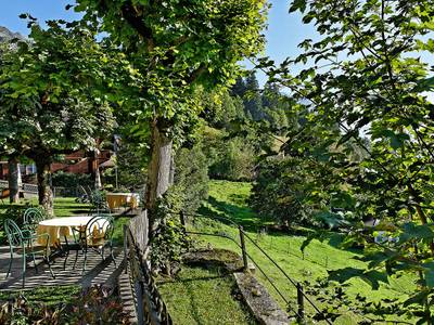 Hotel Alpenrose Wengen - Bild 1