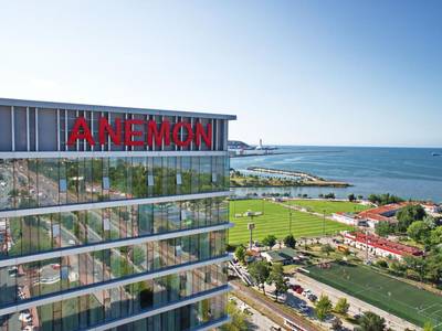 Anemon Samsun - Bild 1