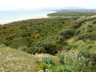 Hotel Dei Pini - Bild 1