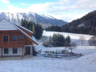 Ferienhof Hintergrabenbauer - Bild 1