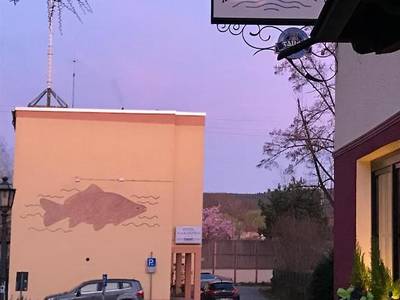 Hotel Restaurant Zum Karpfen - Bild 1