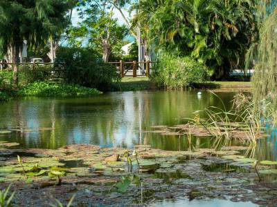 Le Relais du Moulin - Bild 1