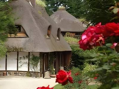 Le Petit Coq Aux Champs Chateaux Et Hote - Bild 1