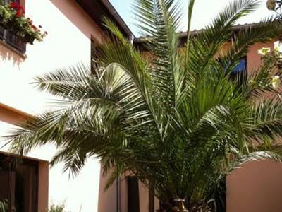 Hotel Arte Vida - Bild 1