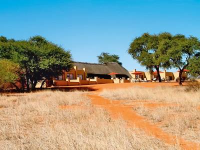 Intu Afrika Kalahari Zebra Lodge - Bild 1