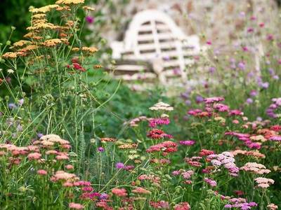 Grove Narberth - Bild 1