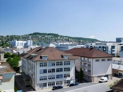 The Flag Zuerich - Bild 1