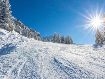 Waidringer Hof - Bild 1