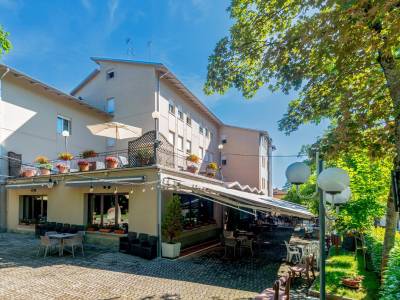 Falco D'Oro - Bild 1