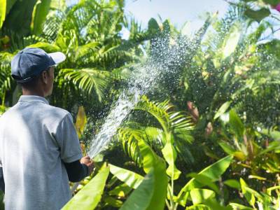 Explorar Koh Phangan - Bild 1