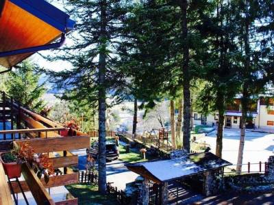 Orso Bianco - Bild 1