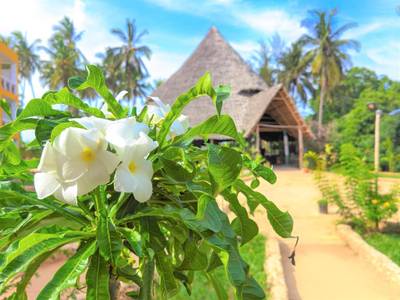 Reef & Beach Resort - Bild 1