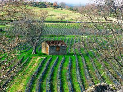 Quinta das Lavandas - Bild 1