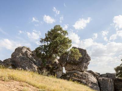 Monte da Esperança - Bild 1
