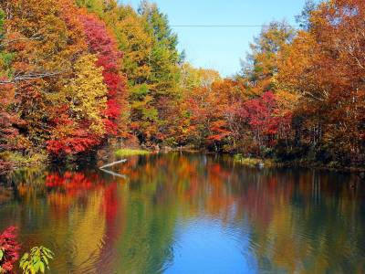 Hachimantai Mountain Hotel & Spa - Bild 1