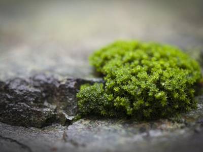 Hotel Keisui - Bild 1