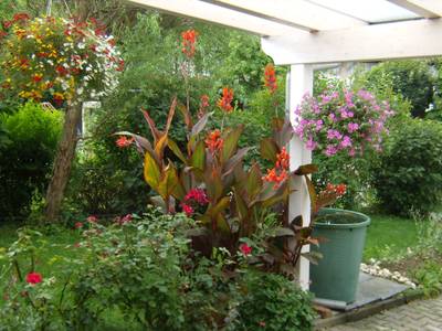 Wellnesshaus Waldmuenchen Daschner - Bild 1