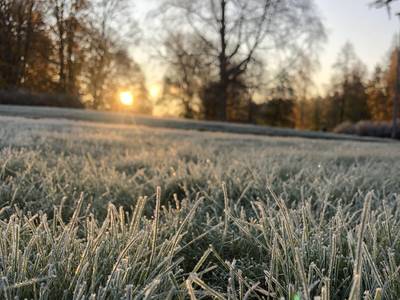 Hotelli Nuuksio - Bild 1