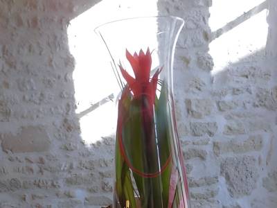 Hôtel du Donjon - Bild 1