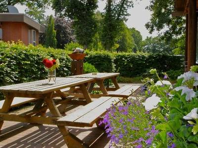 Hotel Waldgasthof Schöning - Bild 1